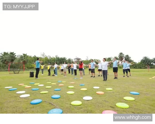 飞盘盛宴：深入了解成都飞盘队的默契配合与战术魅力